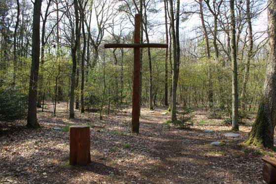 Waldbestattung - Waldfriedhof Wedel Kreis Pinneberg